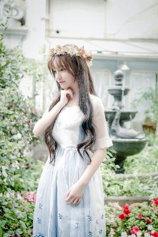 惜花芷电视剧免费观看完整版