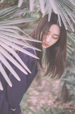 永生第五季之太元仙府在线观看